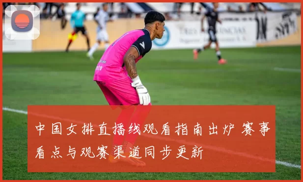 中国女排直播线观看指南出炉 赛事看点与观赛渠道同步更新