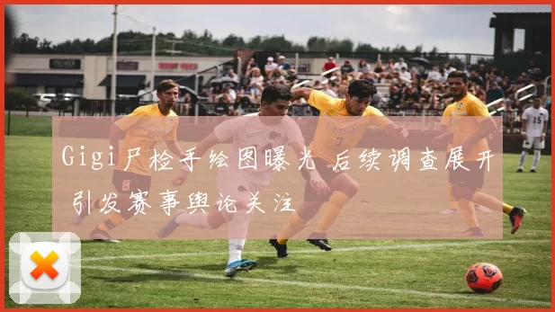 Gigi尸检手绘图曝光 后续调查展开 引发赛事舆论关注