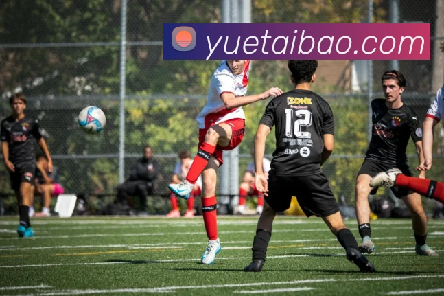 kaiyun官方在线登录平台生态图